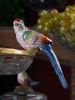 20950_GLASS_7