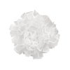 10231 530C White_3