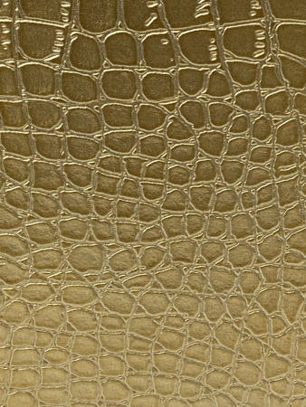 51605_7