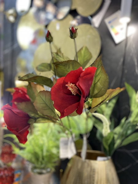 FLS414_2