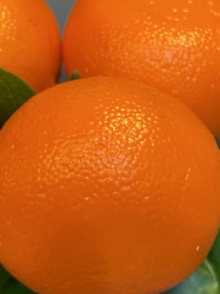 799812_4
