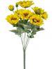 33472_SA21999-YELL_8