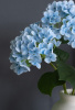31428_A0015-BLUE_6