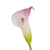 38061_d5fbff4a9faf6af8f97baab9a0760b46