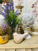 IMG_5104