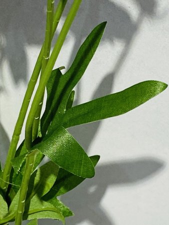 IMG_4016 (3)