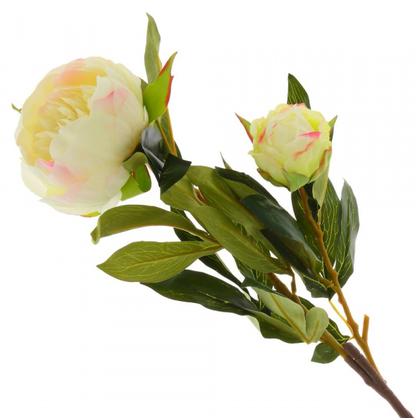 16304_961c9ad35df27a7ba9fc07db45cff05a
