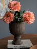 13808_A0008-CORA_2