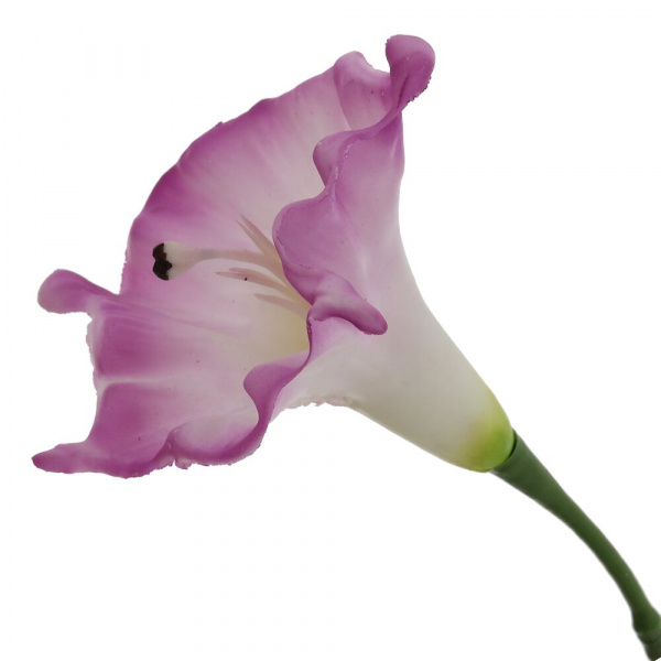 39386_3a35cceddbdf90da78017951b53b3c50