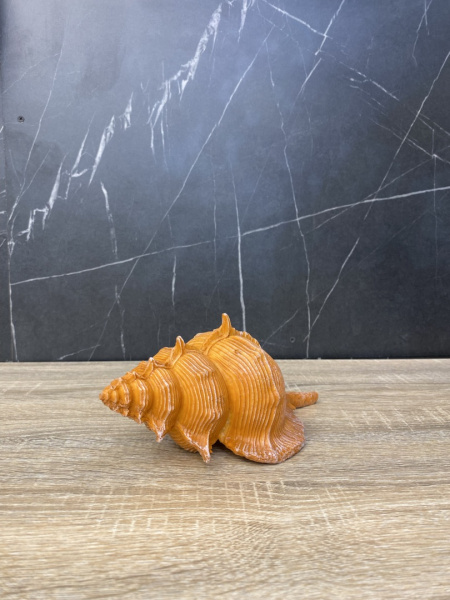 9912519_1
