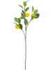 31559_A5745_4