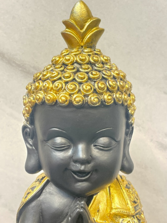 LK216_6