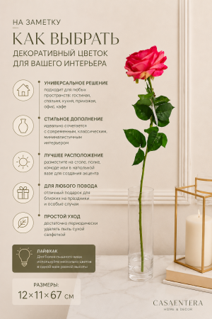 ChatGPT Image 20 июн. 2026 г., 15_07_09