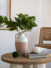22324_C6069_8
