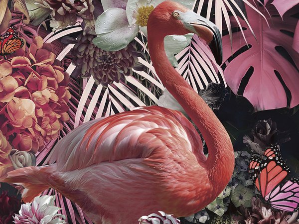 804936_4