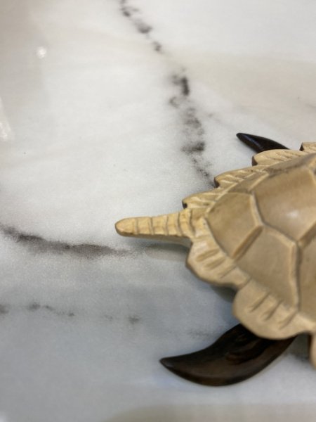 10485323_10