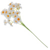 1885_92032bd65f406fb0277efdbe2b24dbab