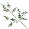 23973_36a9983739a70faa3261029b05bc9e53