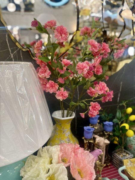 IMG_6349 (2)