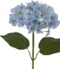 13021_A0015-BLUE_2