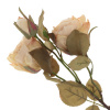 14970_55f4c6c39117d58e24d5ed3aca7255b7