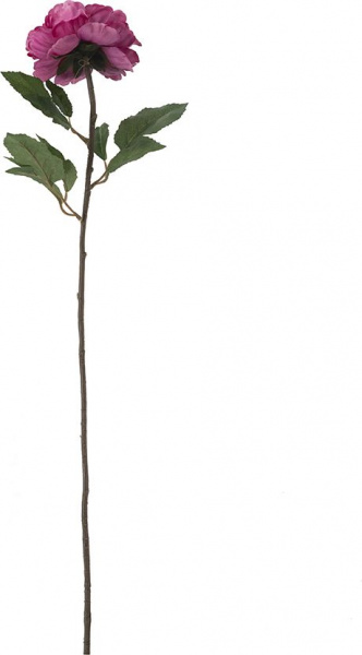 31369_A0008-FUCH_3
