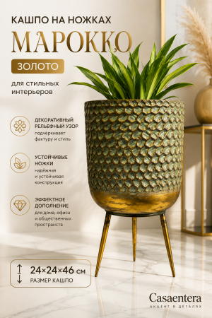 ChatGPT Image 1 сент. 2026 г., 01_33_23