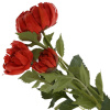 39697_424eba482ab10725e2ce35ed67bf5d26