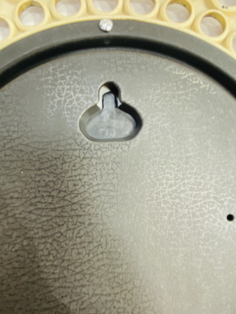 IMG_5748 (4)