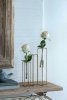 19842_F29352-CREA_5