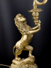 25006_BZ12623HA_1