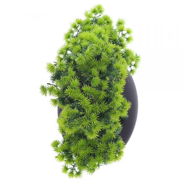27996_a5b63fdeb898926ef0f92e580dcae1d1