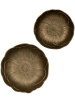 24431_D5562_3