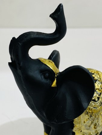 IMG_1117 (1)