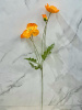 IMG_2020 (2)