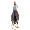 39221_35c0c255759c6c60fd1b07d860d508c6