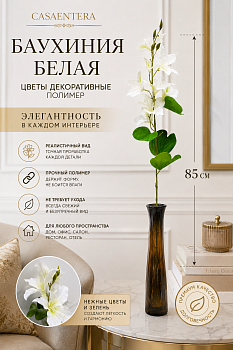 Цветы декоративные Баухиния полимер белый Casaentera 85 см CE05-406258-1