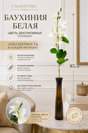 ChatGPT Image 6 июн. 2026 г., 16_20_54