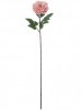 31339_A0008-CORA