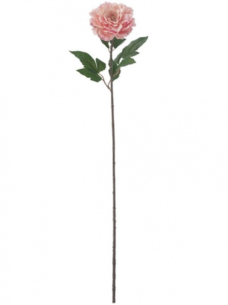 31339_A0008-CORA