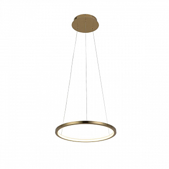 Светильник подвесной Casaentera Ring CE13-10014S золото d400х50