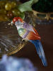 20946_GLASS_3