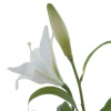 16348_f05e3dd9defc2d78b7d5b6c9e1e1f591