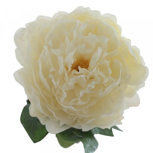 16530_dc0502efa49f308c8bd4e3a530eea5ab