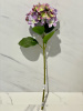 IMG_7422 (3)