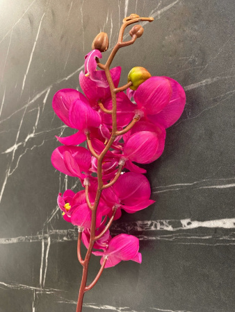 398374_9