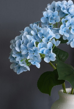 13025_A0015-BLUE_6