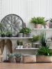 19886_F8151_20