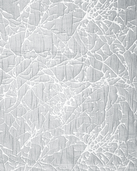 LS00029GR 2