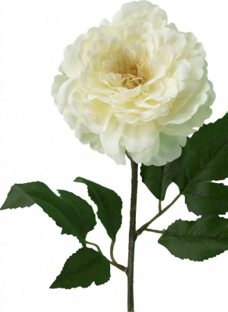 31352_A0008-CREA_6